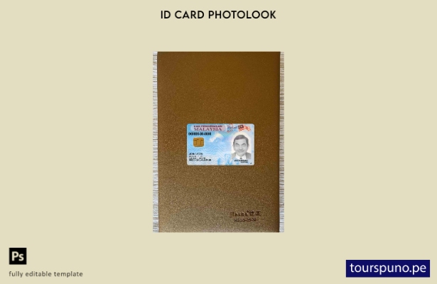 Plantilla FRONTAL de aspecto fotográfico de identificación de Malasia lista para